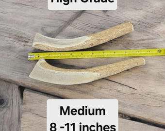 Medium Elk Antler Dog Chew – Natural Long Lasting Treat (15–35 lbs) | Partial Split Durable Dental Chew – Medium Dog Chew, Natural Dog Treat