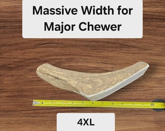 Masticable de asta de alce partida 4XL – Golosina artesanal de larga duración para perros (más de 38 kg) / Masticable natural resistente parcialmente partido – Masticable gigante para perros