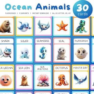 Druckbare Ozeantiere Karteikarten, 30 Montessori Karten Tiere Karte Nomenklatur Kleinkind Pdf druckbare Karten für Kinder Homeschooling