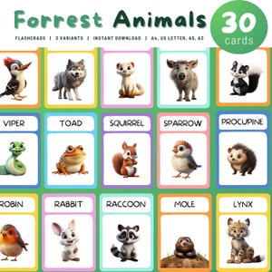 Druckbare Waldtiere Karteikarten, 30 Montessori Karten Tiere Karte Nomenklatur Kleinkind Pdf druckbare Karten für Kinder Homeschooling