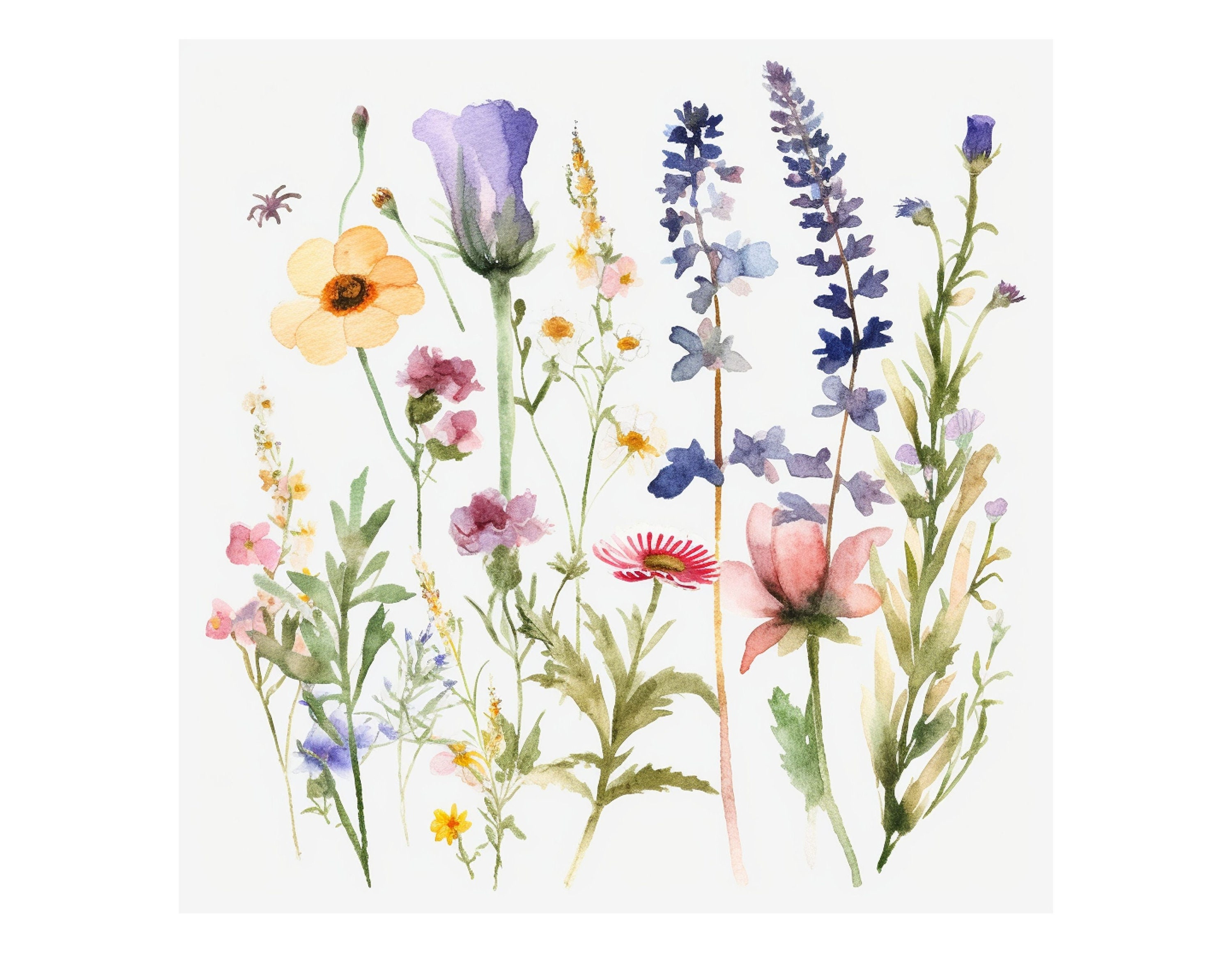 Watercolor Wildflowers Digital Paper Set, Spring Meadow Flowers Journal ...