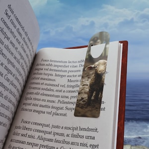 May include: A silver metal bookmark shaped like a bottle opener with a black and white photo of a lamb standing in a field. The bookmark is placed on a book with text about a lamb.