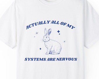 Actually All Of My Systems Are Nervous Mental Health Shirt Meme Shirt Weirdcore Shirt Anxiety Tee Fairycore shirt