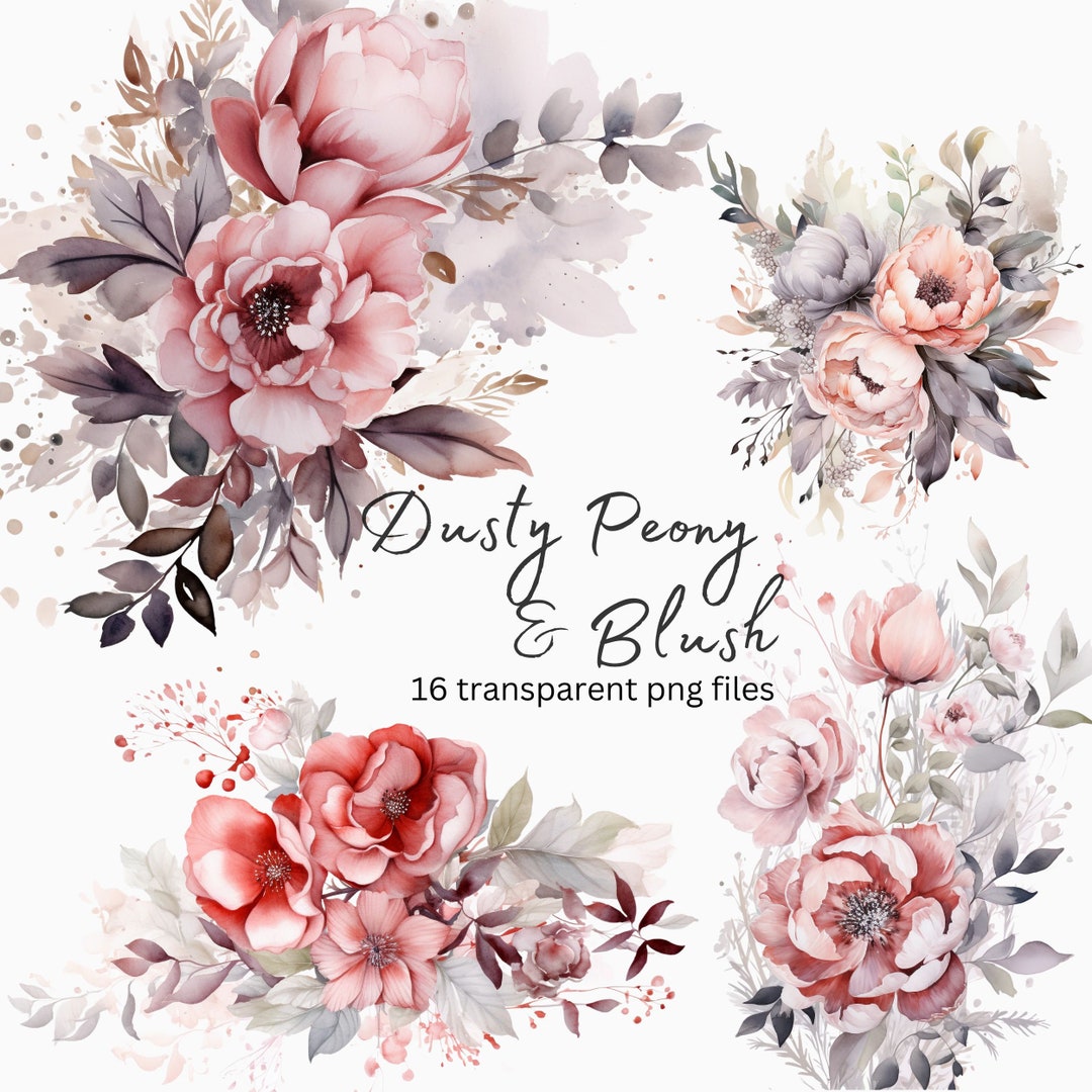 Dusty Peony Blush Floral Watercolor Clipart, Transparent PNG, Digital ...