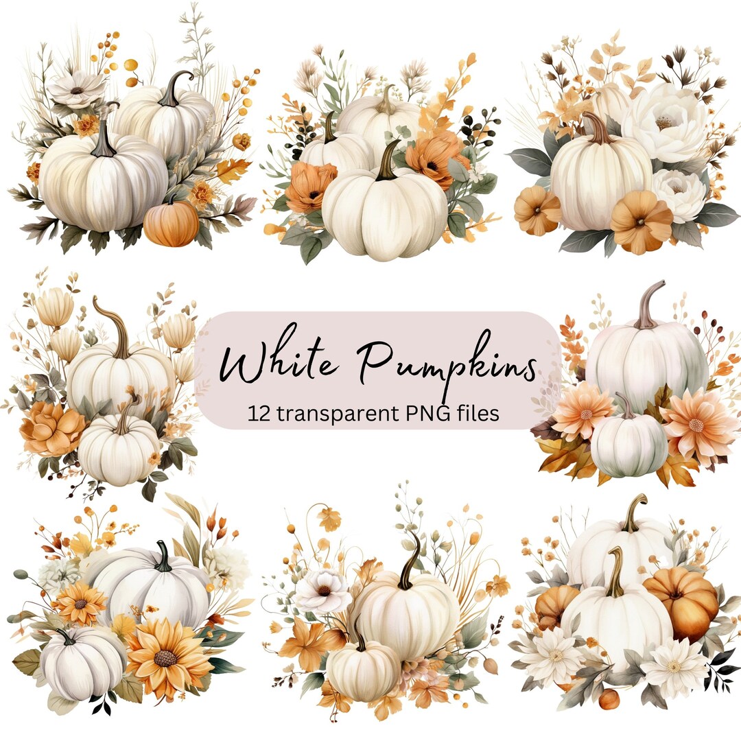 White Pumpkins Watercolor Clipart Bundle, Transparent PNG, Digital ...