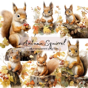 Automne Écureuil Aquarelle Clipart Bundle, Transparent PNG, Téléchargement numérique, Fabrication de cartes d’animaux, Scrapbooking Junk Journal, Utilisation commerciale