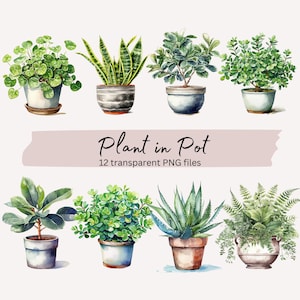 Plant in Pot Clipart Bundel, Transparante PNG, Digitale Download Card Making Scrapbook Junk Journal, Aquarel Plant Clipart, Commercieel Gebruik