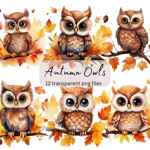 Automne hiboux aquarelle Clipart, PNG Transparent, téléchargement numérique, carterie Scrapbook, mignon Animal clipart Illustration, usage Commercial