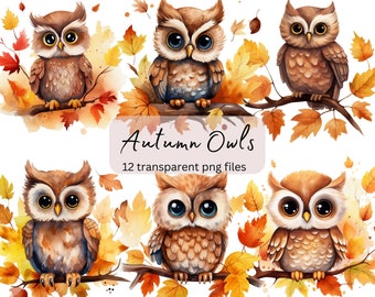 Autumn Owls Watercolor Clipart, Transparent PNG, Digital Download, Card Making Scrapbook, Cute Animal clipart Illustration, Commercial Use