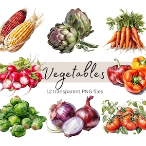 Vegetables Clipart Bundle, Transparent PNG, Summer clipart, Digital Download, Watercolor Food Clipart, Card Making Vegetables Commercial Use
