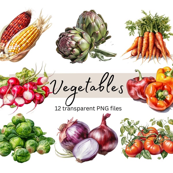 Vegetables Clipart Bundle, Transparent PNG, Summer clipart, Digital Download, Watercolor Food Clipart, Card Making Vegetables Commercial Use