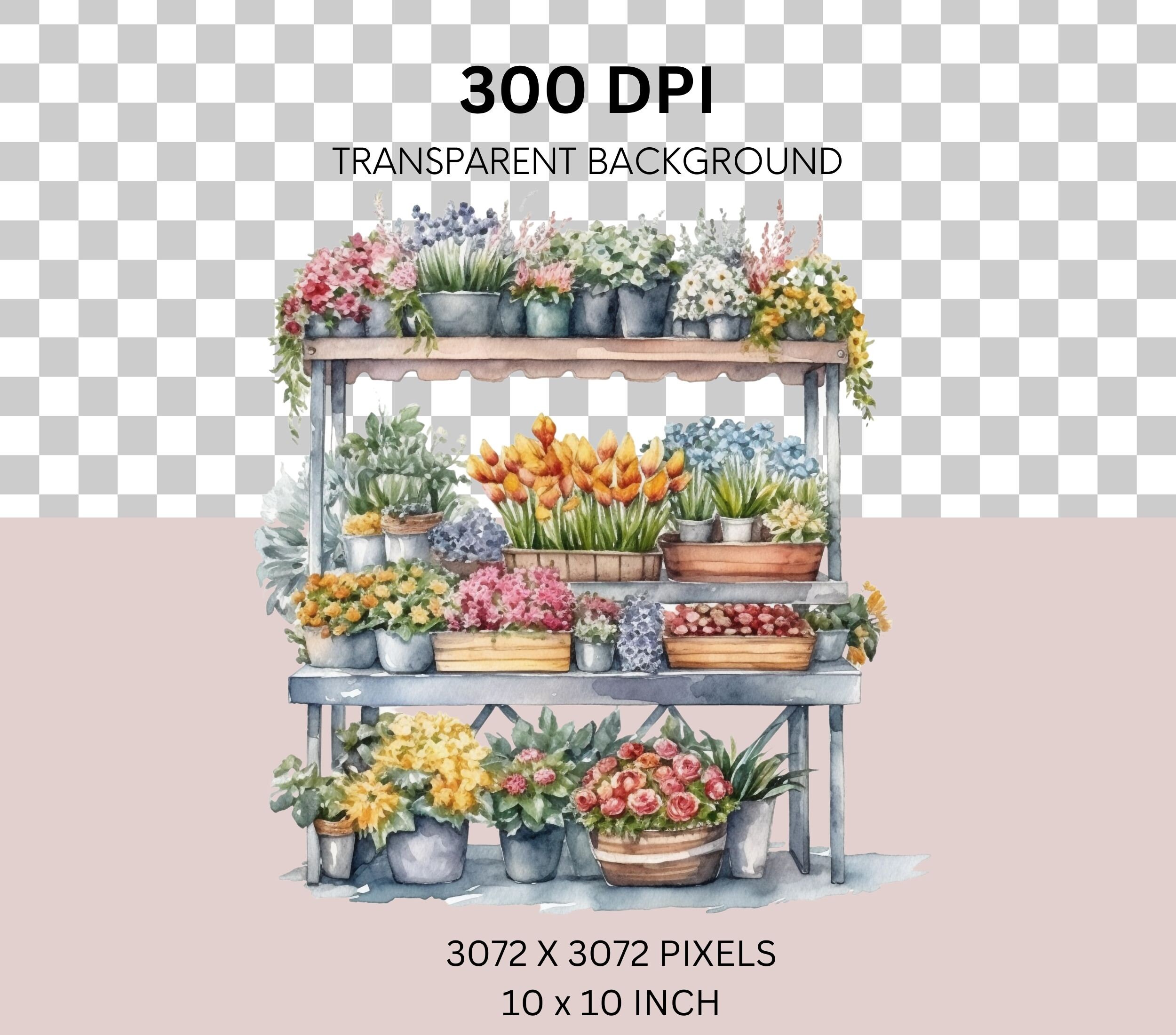 Flower Stand Clipart Bundle Transparent PNG Digital Download Etsy