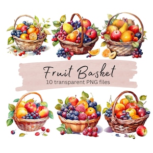 Pacchetto Clipart cesto di frutta, PNG trasparente, clipart raccolta estiva, download digitale, clipart acquerello, creazione di carte, uso commerciale