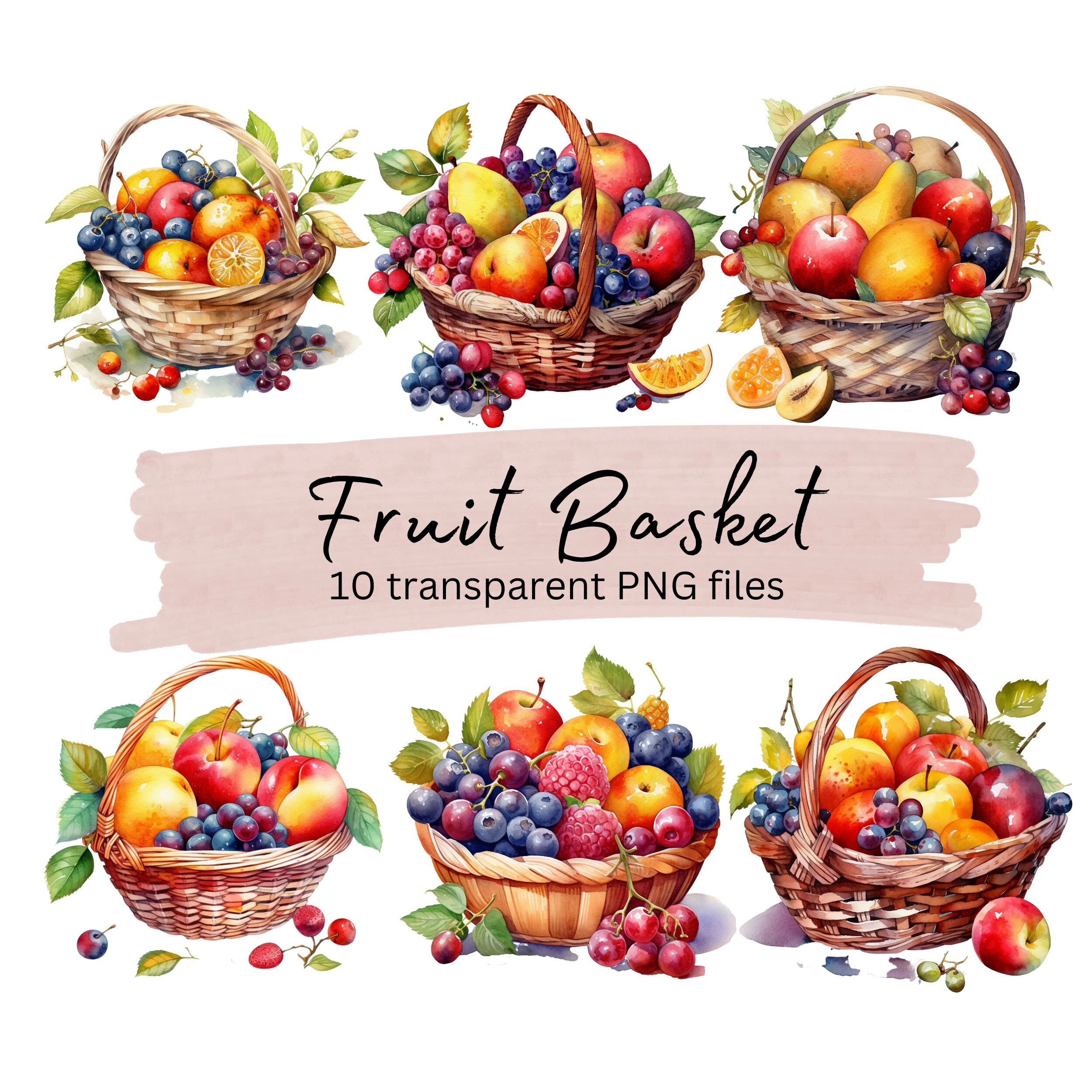 Fruit Basket Clipart Bundle Transparent PNG Summer Harvest Etsy