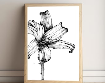 Lily Art Print: Botanical Line Art (Digital Download)