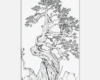 Desert Juniper Pine Tree Wall Art Canvas 20x30 cm / 8x12″