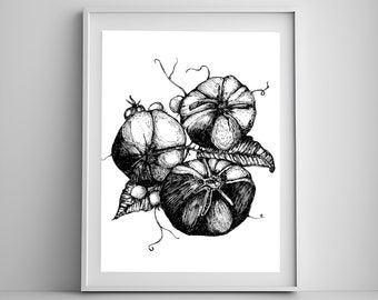 Hand-Drawn Tomato Garden Art Print (Digital Download)