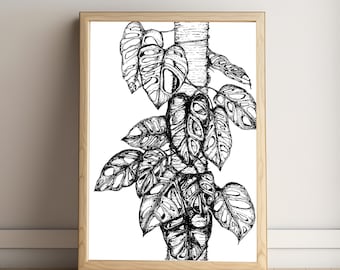 PRINTABLE Monstera Deliciosa Art, Swiss Cheese Plant, Houseplant, Wall Art, Digital File