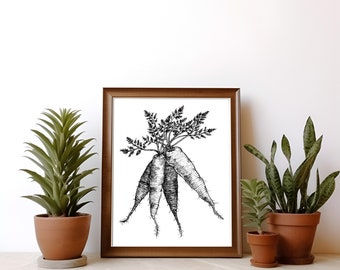 Carrot Ink Illustration Art Print: Vegetable Garden Decor (Digital Download)