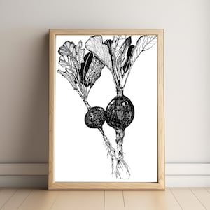 Radieschen Kunst, Wandbild, Digitaldruck, Gartenkunst, Gemüsekunst
