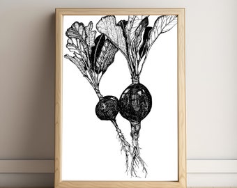 Radish Ink Drawing: Vegetable Garden Art Print (Digital Download)