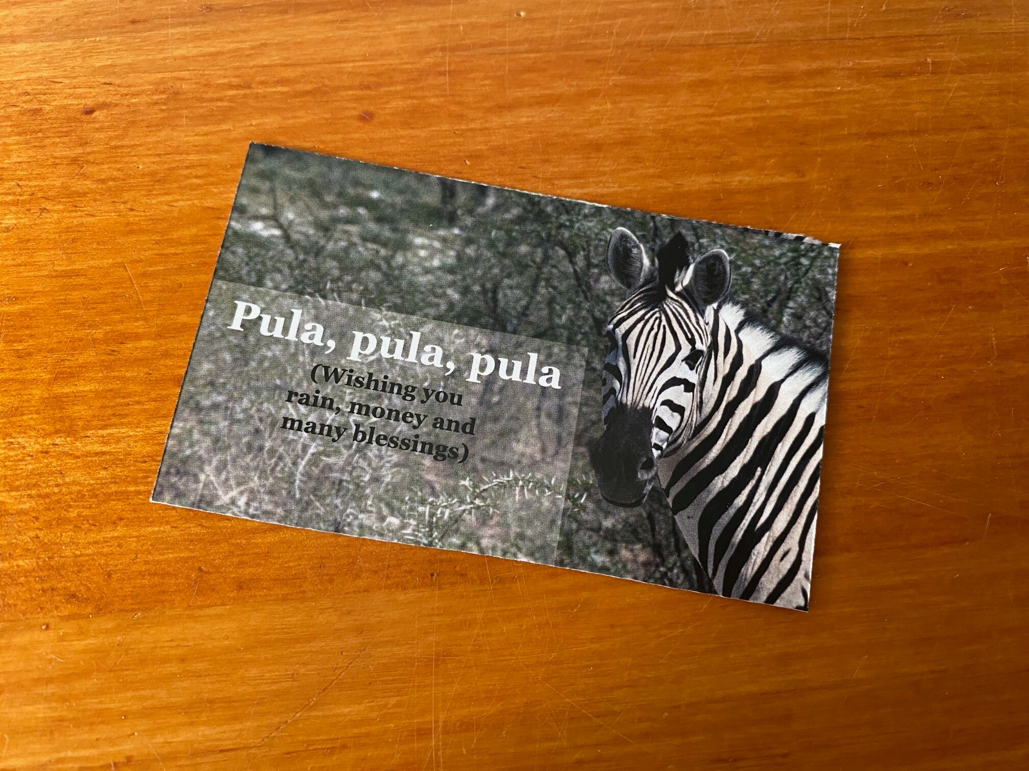 Farewell Greeting Cards for Business Colleagues (zebra Theme) or ...