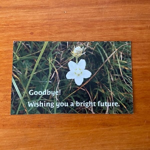 Afscheidswenskaarten voor zakelijke collega's (helder bloemenwensthema) of afscheidswensen voor vrienden.