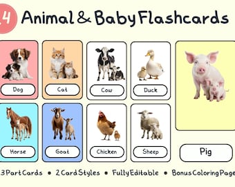 Animal & Baby Printable Flashcards | Montessori Cards | Educational | Pre-school Cards | Elementary Cards | Educational Cards | Editable Pdf