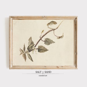 May include: A framed botanical illustration of a green leafy branch with small white flowers. The frame is a light wood color. The text "SALT + SAND curated art" is below the frame.