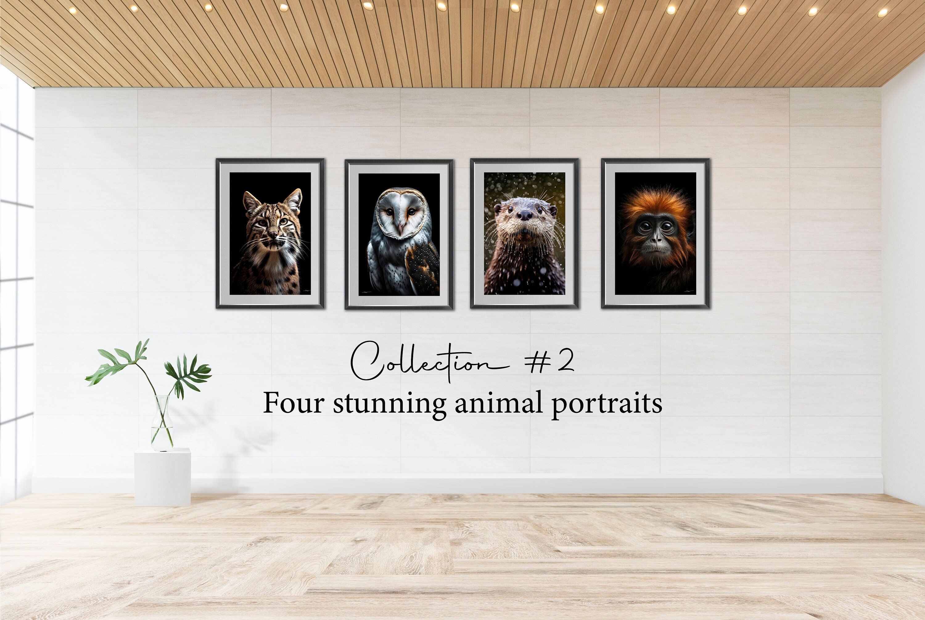 Wild Animal Collection 2 | Lynx, Monkey, Otter & Owl | Wildlife Animal Photography |  Tropical,