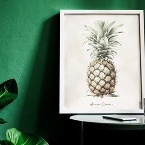 Op de afbeelding: Een ingelijste botanische illustratie van een ananas met de tekst "Ananas Comosus" onder de afbeelding. De lijst is wit en de afbeelding heeft een witte achtergrond. De afbeelding staat op een kleine, ronde, grijze tafel.