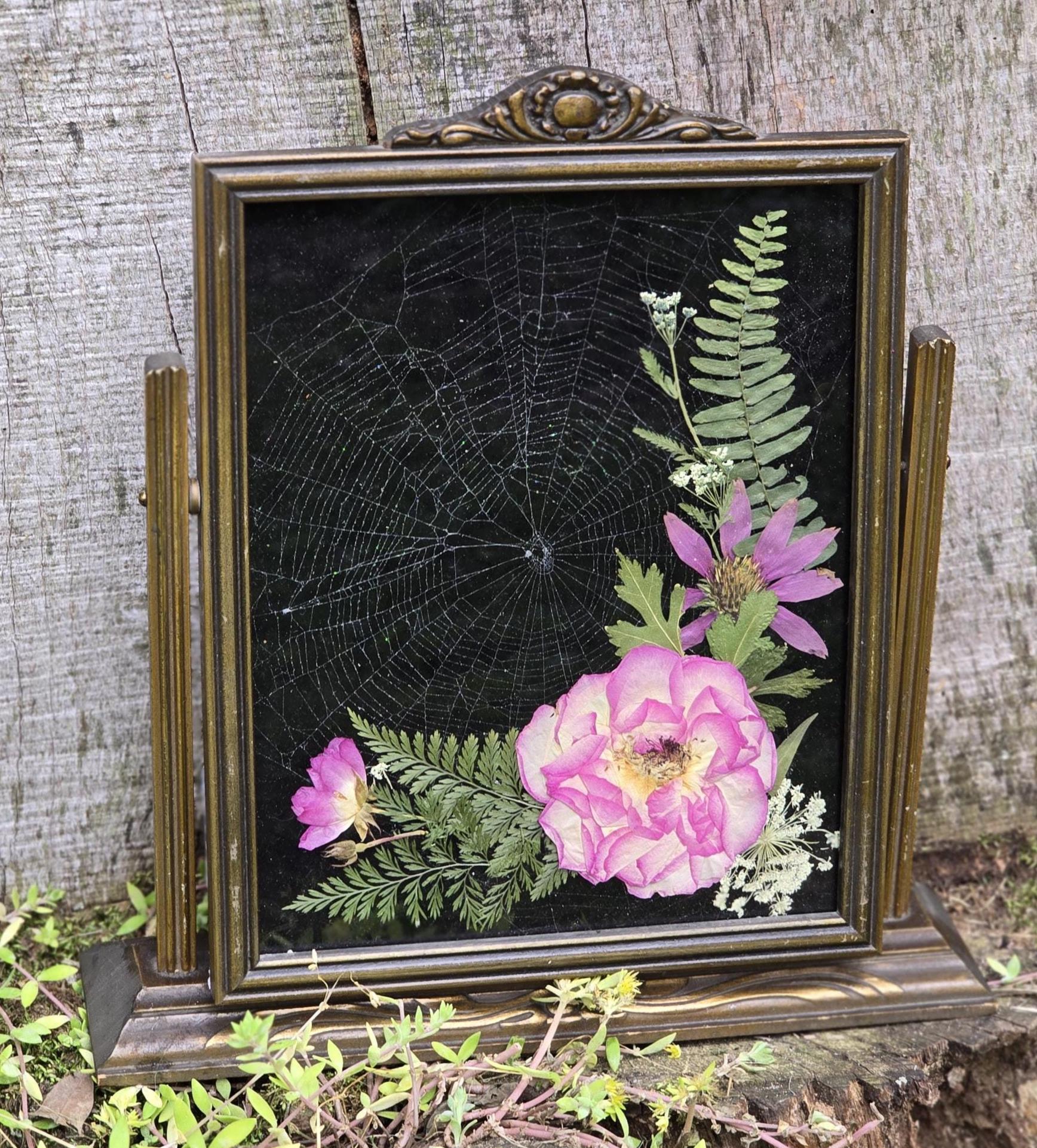 銅版画「Dry Flower」 Spider Web Preserved Dried Flower Art Antique Swing Frame