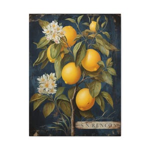 18&quot;x24&quot;Vintage Lemon Art Canvas, Home Decor, Kitchen Wall Art, Botanical Print, Farmhouse Decor, Gift for Lemon Lovers