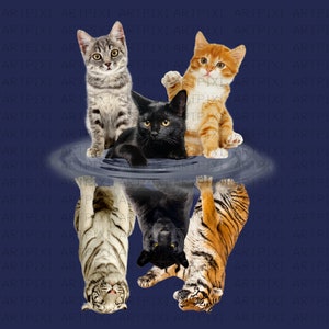May include: A black cat, a gray tabby cat, and an orange tabby cat are standing in a pool of water. Their reflections are upside down in the water, and they appear to be tigers.