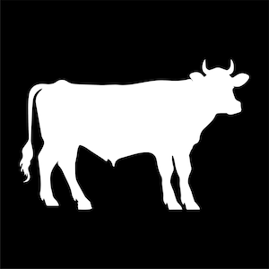 Farm Animal Digital Downloads - 12 High Contrast / Black and White Images - Infant Toddler Development