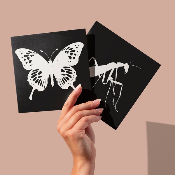 Bugs & Insects Digital Downloads - 12 High Contrast / Black and White Images - Infant Toddler Development
