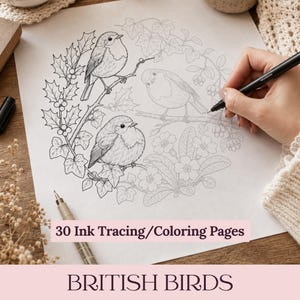 Può includere: Un foglio di carta bianca con un disegno a inchiostro nero di tre uccelli appollaiati su rami circondati da agrifoglio e fiori. Il testo 30 Ink Tracing/Coloring Pages è stampato in basso. Una penna nera è tenuta sopra il foglio.