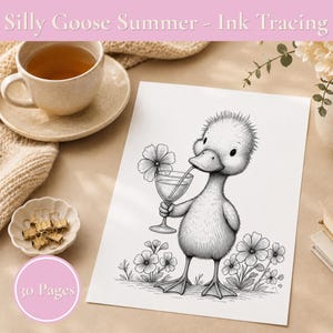 Silly Goose Summer - 30 Mindful Ink Tracing Patterns - Digital Download