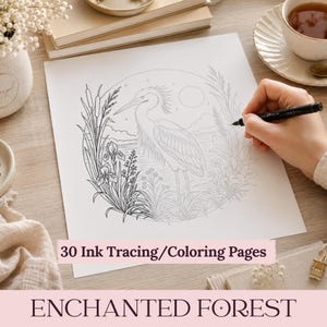 Pode incluir: Uma folha de papel branco com um desenho de linha em tinta preta de uma garça num cenário pantanoso com taboas, íris e um sol. O texto 30 Ink Tracing/Coloring Pages e ENCHANTED FOREST está impresso na imagem.