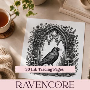 May include: A black and white illustration on paper featuring a raven standing before a gothic archway surrounded by roses, ferns, and mushrooms. A pink horizontal banner across the center displays the text 30 Ink Tracing Pages.