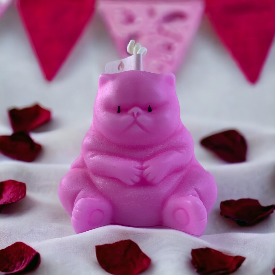 Chubby Cat Candle Aesthetic Home Decor Scented Candles Cute Candles Cat