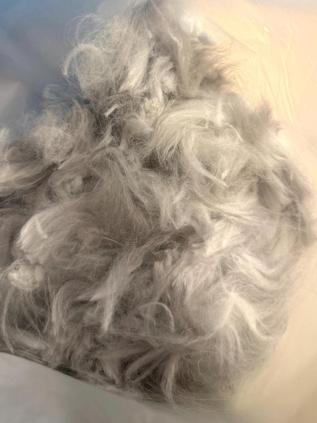 Virgin English Angora Rabbit Wool Fiber 1.5 Ounces - Etsy