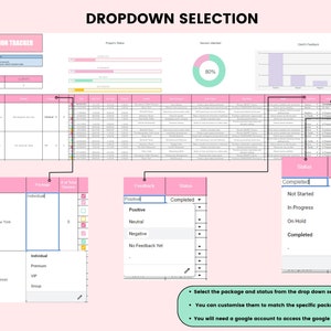 May include: A pink and white spreadsheet with a title "Client Session Tracker" and a section titled "Dropdown Selection". The spreadsheet has drop-down menus for selecting package and status. The spreadsheet also includes a pie chart showing 80% session attendance and a bar chart showing client feedback.