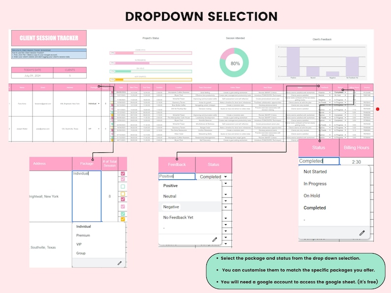 May include: A pink and white spreadsheet with a title "Client Session Tracker" and a section titled "Dropdown Selection". The spreadsheet has drop-down menus for selecting package and status. The spreadsheet also includes a pie chart showing 80% session attendance and a bar chart showing client feedback.