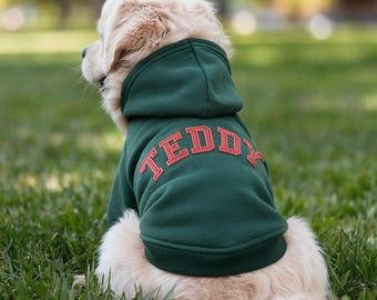 Customizable Embroidered Pet Hoodie, Embroidered Pet Name Hoodie, Custom Pet Name Clothing, Christmas Gift For Pet Lovers