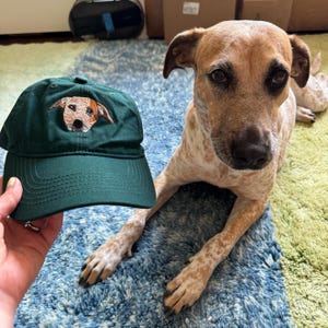 May include: A green baseball cap with an embroidered image of a brown and white dog on the front.