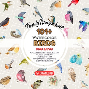 Watercolor Birds Clipart Bundle - Digital SVG & PNG Graphics for Instant Download | Commercial Use | Bird Illustrations