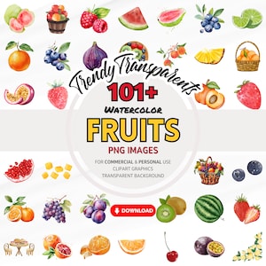 Fruit Watercolor Clipart Bundle - Digital PNG Graphics for Instant Download | Commercial Use | Fresh and Juicy Fruit Illustrations