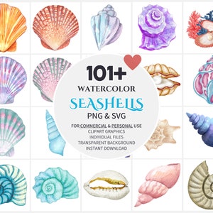 Aquarel schelpen clipart bundel-digitale SVG & PNG-afbeeldingen voor direct downloaden | Commercieel gebruik | Schelpillustraties