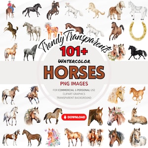 Lot de cliparts cheval aquarelle - graphiques numériques SVG et PNG pour téléchargement immédiat | Utilisation commerciale | Illustrations équines